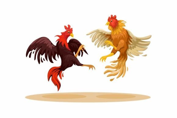Cockfight Traditional Animal Fight Game: Bold Design Meets Cultural Flair